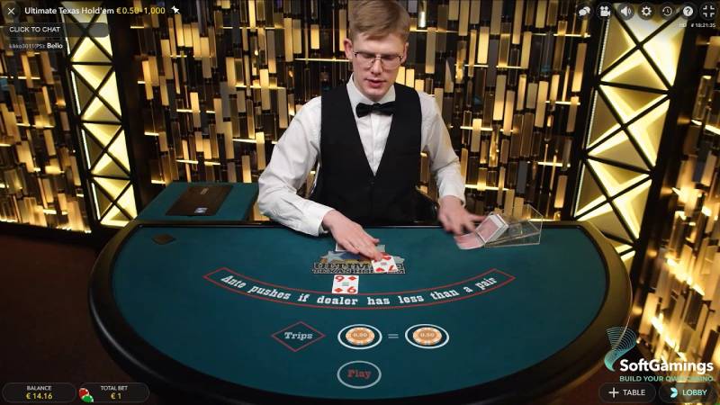 Các loại cược trong Texas Hold'em Bonus Poker